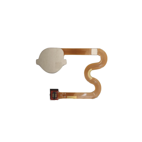 BOUTON D'EMPREINTE ORIGINAL CONDOR PLUME L3 – Image 2